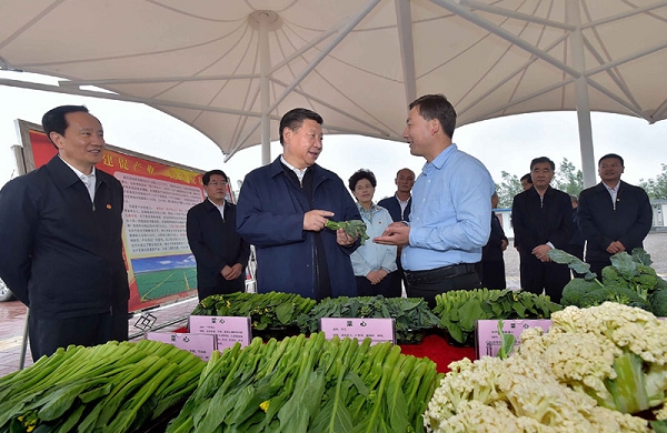 习近平总书记在宁夏考察纪实