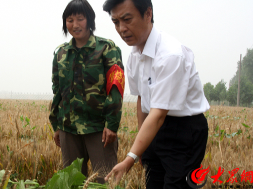 历城区委副书记,代区长李胜利(右)实地查看冬瓜小麦套种