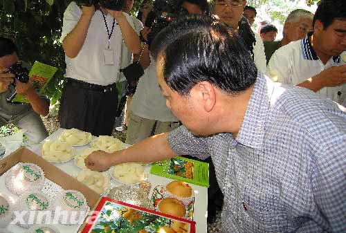 许福明:台湾农户来青岛种水果前景乐观(组图)