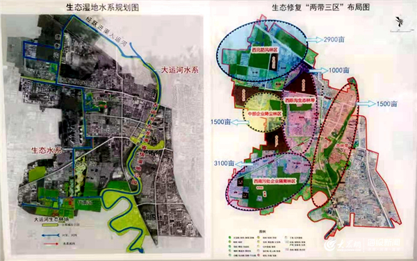 山东新闻    距华能电厂不远处的大运河生态林场位于德州市运河经济