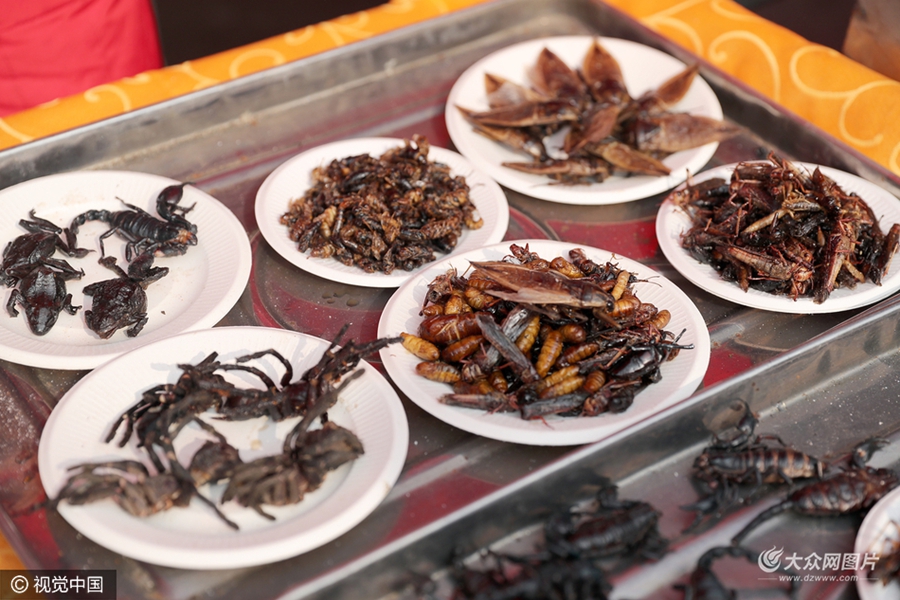 蜈蚣豆虫蝎子啥都有 青岛萝卜元宵糖球会上昆虫宴引人关注
