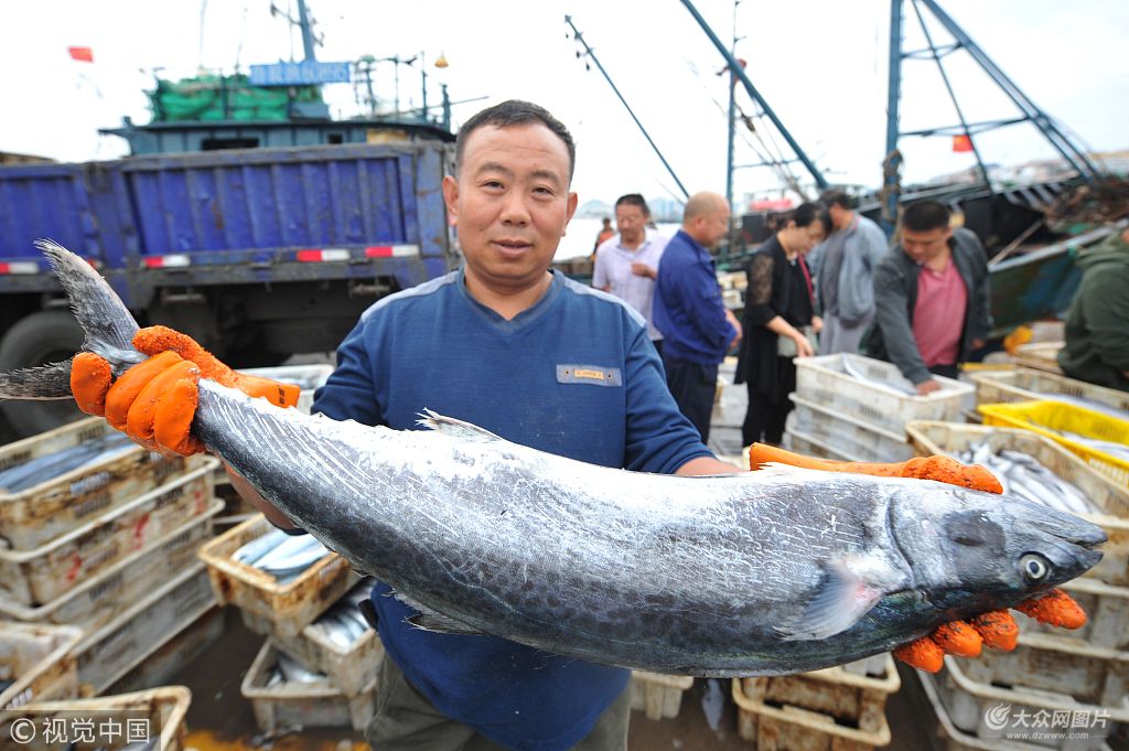 在国庆节即将到来之际,山东青岛崂山区中心渔港大量海鲜走俏市场,秋