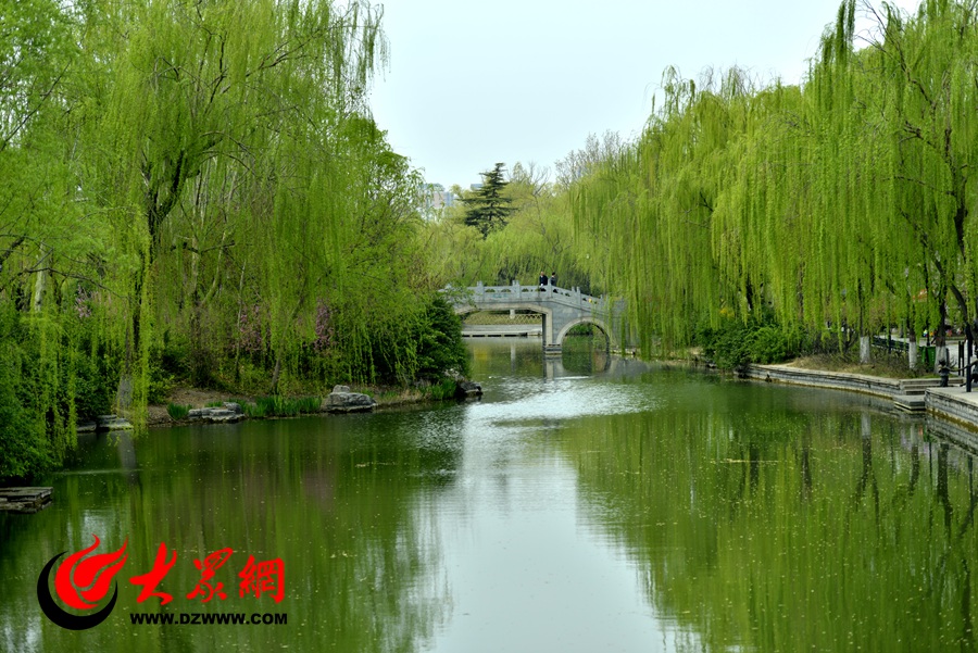 春天来到,大明湖边的柳树发芽,鲜花盛开与湖水建筑汇成了一幅美丽的