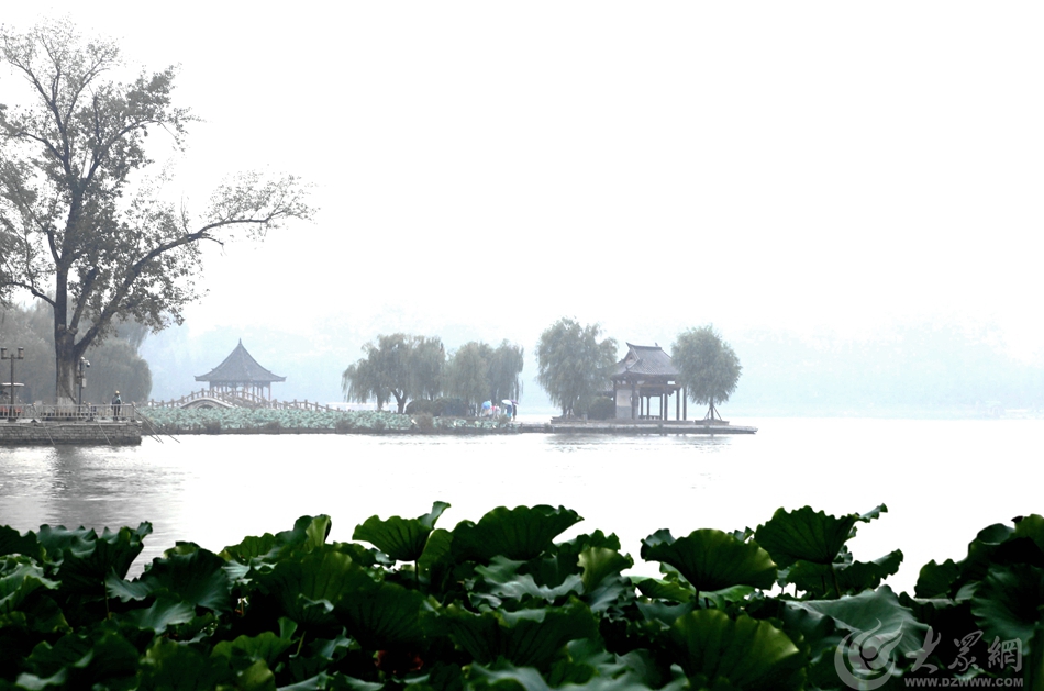 雨中的大明湖如诗如画.