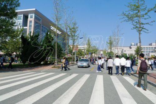 10月8日,鲁东大学校园内发生一起造成3名女研究生受伤的道路交通事故