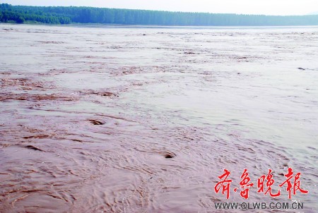 黄河最大洪峰安然过济 泺口段现漩涡奇景