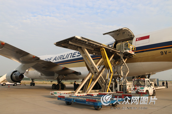 装载有36头南非长颈鹿的波音747全货机在济南遥墙国际机场安全着陆