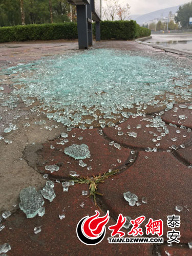 泰安一公交站牌玻璃碎成渣 相关部门:换玻璃需周期