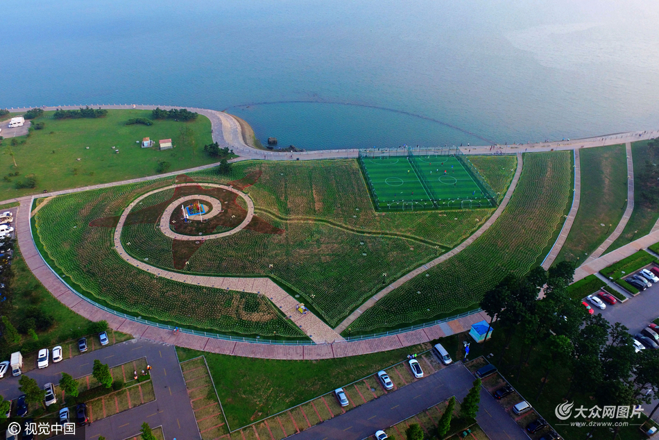 青島:濱海公園5萬朵玫瑰燈海迎接啤酒節