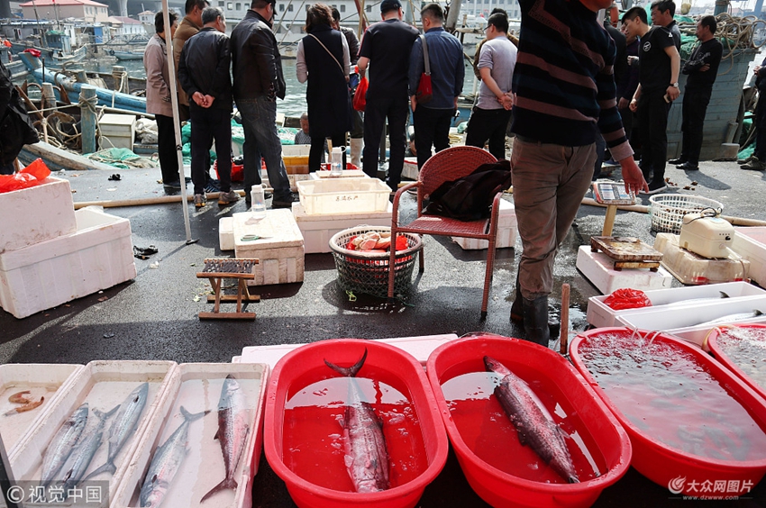2018年4月25日,市民在青岛小港渔码头抢购海鲜