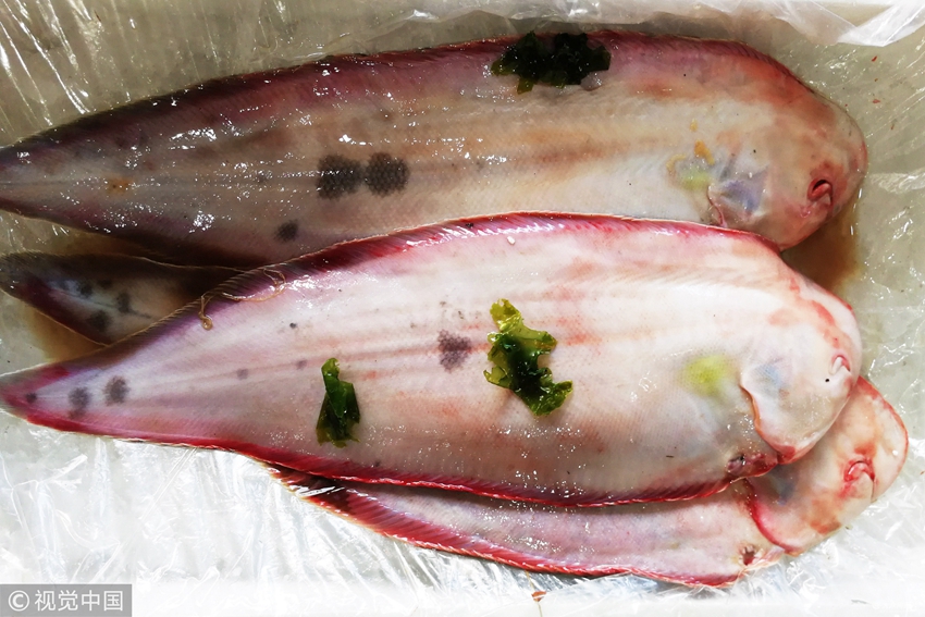 青岛西海岸新区积米崖海鲜市场,重量每条一斤左右的大舌头鱼160元一斤