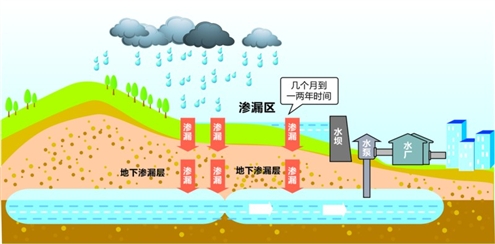 雨水自然淨化需一年 強滲區遭破壞難變地下水