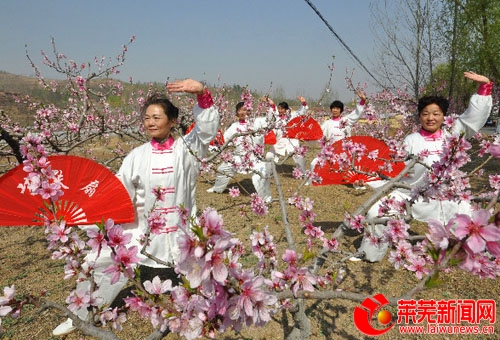 钢城区汶源街道桃花节开幕又见桃花笑春风